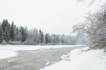 Sigulda Gauja National park river frozen water winter scene wonderland cloudy day  cool tones