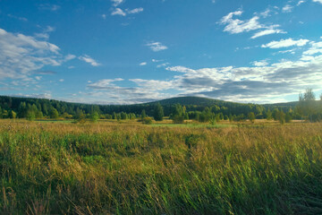 Summer landscape green meadow on a background of forest and cloudy sky.