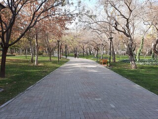 Fall