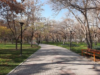 Fall