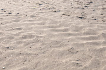 Fototapeta na wymiar beiger, weicher Sandstrand mit welligem Muster am sonnigen Sommertag. Hintergrund