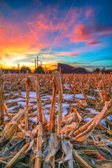 Nebraska farmland with sun setting on snow covered cornfield.