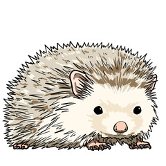 Realistic and simple hedgehog illustration design