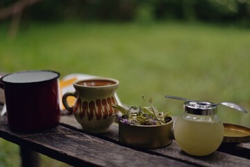 Natural herbal tea served with honey outside in nature along with a book. living a healthy life close to nature