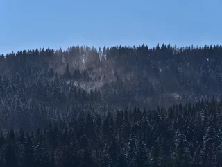 Keuken foto achterwand Mistig bos Uitzicht op besneeuwde naaldbomen op heuvels in het Zwarte Woud-gebergte in het winterseizoen met sneeuw die door de sterke wind op een zonnige dag met blauwe lucht in de buurt van Schluchsee, Duitsland wordt opgewerveld.