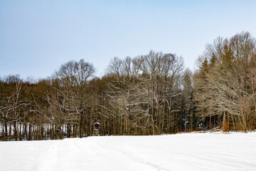 Fototapeta na wymiar winter im erzgebirge