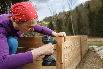 Woman screwing wooden frame for a raised garden bed. - 414441915