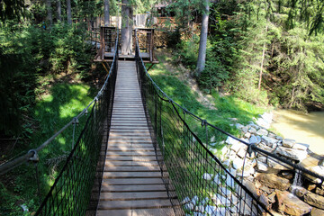 Plakat bridge in the forest