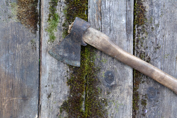  Vintage axe with wooden handle on antique moss boards close up. High quality photo
