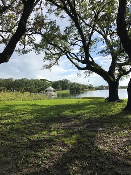 Southern live oak trees near the lake in Topeekeegee Yugnee park, Florida