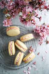 Alfajores, delicious traditional Argentine sandwich cookies filled with cream, modern presentation, cookies typical for Latin America, Chile, Peru