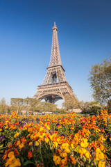 Fototapeta na wymiar Eiffel Tower with spring flowers in Paris, France