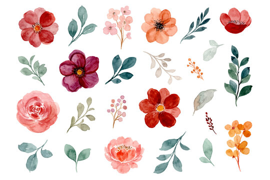 Collection of watercolor floral elements. hand drawn burgundy, brown and rose flowers and green leaves