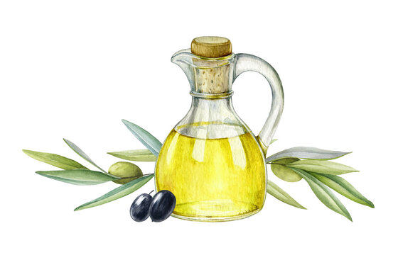 Olive oil in glass jug with olives and tree branches illustration. Natural fresh organic yellow vegetable oil realistic watercolor image. Glass jar with pure olive product inside close up element.