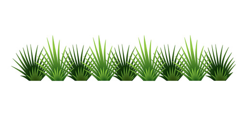 Green grass border. Fresh green brush grass. Isolated on transparent background. Illustration for use as design element