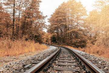 Fototapeta premium railroad tracks in the forest