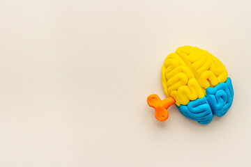 Brain charging and mental health concept. Model of human brain, top view