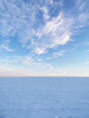 Obraz premium Ein verschneites Feld im Winter - Himmel und Horizont in der Nachmittagssonne