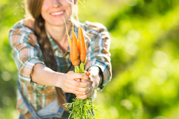Young gardener working in summer garden and  picking up organic vegetables