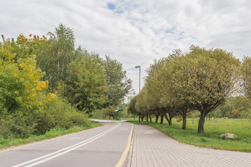 Fototapeta na wymiar Bike path in the park. Afalted road.