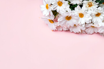 Fototapeta na wymiar Bouquet of daisies on a pink background