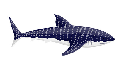 Fototapeta premium Whale shark. Big dangerous marine predator. Underwater sea animal. illustration of Marine wildlife