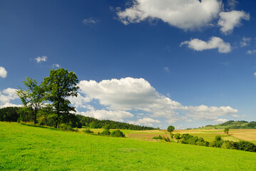 Landscape, view of green rolling fields