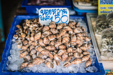Sweet shellfish for sale in the seafood market, Ban Samaesarn, Sattahip District, Thailand