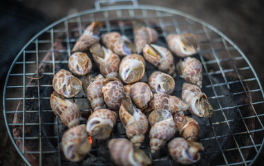 
Sweet clams grilled on a steel grate with a charcoal grill.