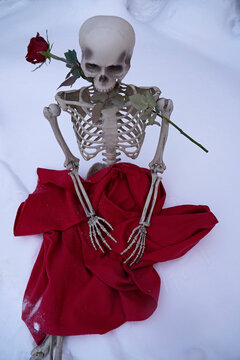 Eternal Love Skeleton With Red Rose In Snow