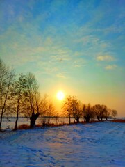 sunset on the meadow 