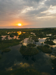 Swamp massif Yelnya. Beautiful autumn sunset