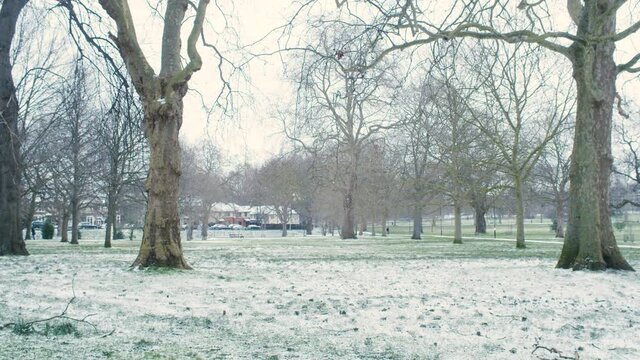 Snowy parc in London shot on Bmpcc 4k