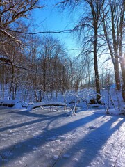 winter in the park