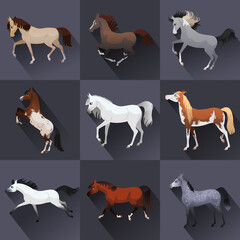 Collection set of flat horses. Horses on a chessboard. Checkered drawing. Different breeds of horses. Different suits. Equestrian sports icons. Vector illustration.