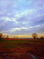 Fototapeta premium sunset over the field