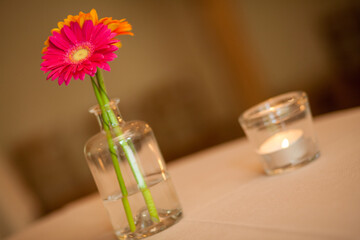 Vase with beautiful gerbera flowers on table. High quality photo