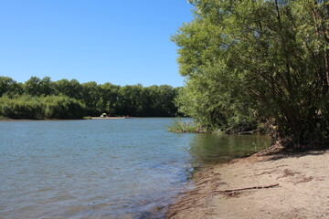 river bank with trees for summer fishing and camping tourists