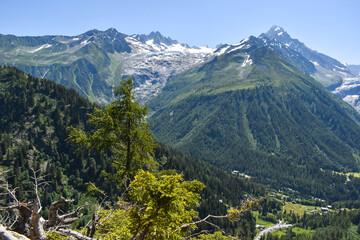 landscape in the mountains