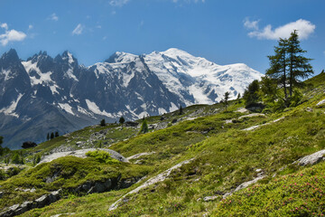 Fototapeta na wymiar landscape in the mountains mont blanc