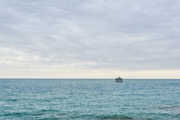 seascape with aquaculture installation in the distance and flock of birds in cloudy sky