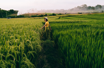 Happy lady walking in rice fields during exotic summer vacation