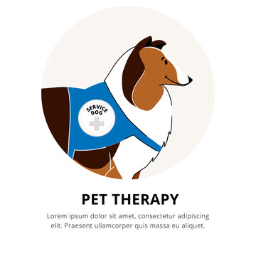 Animal Assisted Therapy Poster With Collie Vector Illustration