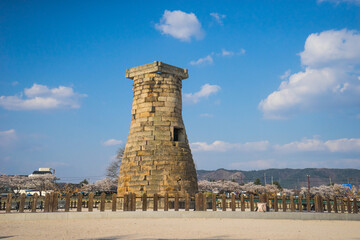 Korea Gyeongju Blue Sky Spring Cheomseongdae