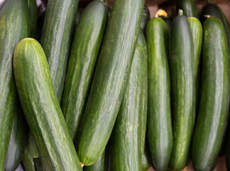 zucchini on the market