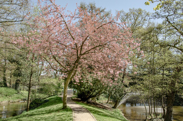 Aachen - Stadtpark im Frühling