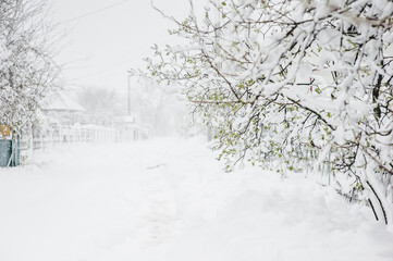 street and flowering trees are covered with fluffy snow