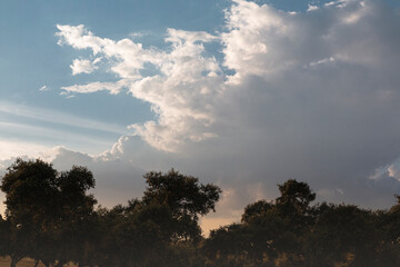 Beautiful couples, fields and landscapes of the Cordoba
