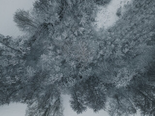 Winterlicher Wald von oben