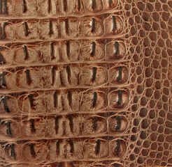 brown croco embossed leather texture